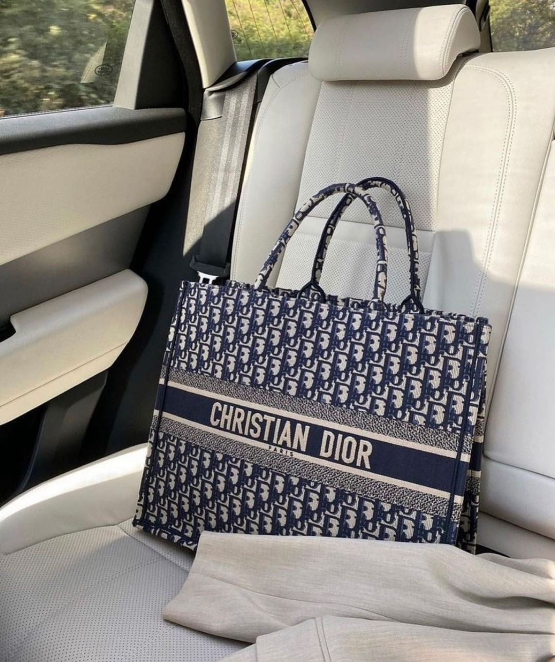 Christian Dior Book Tote in Blue Dior Oblique Embroidery