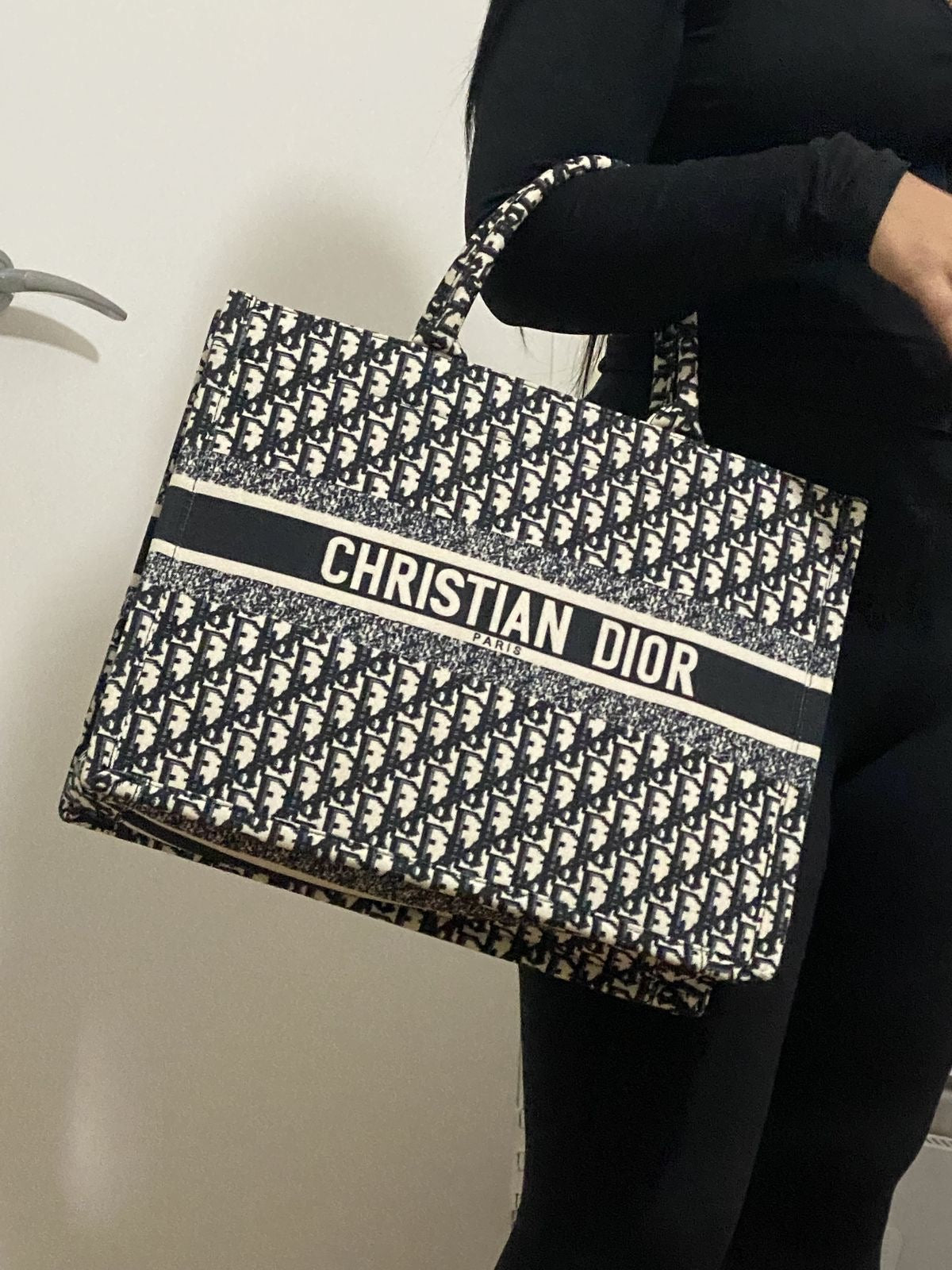 Christian Dior Book Tote in Blue Dior Oblique Embroidery